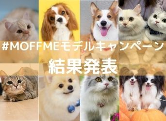 #MOFFMEモデルキャンペーン結果発表のサムネイル画像
